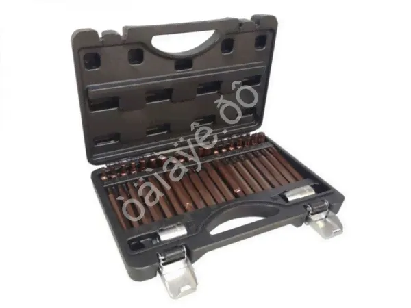 Набор вставок TORX 1/2"1/4"3/8" 40пр ROCKFORCE RF4401D /1/2-4